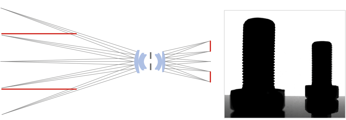 Entocentric lens design